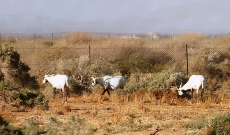 مدار الساعة,أخبار خفيفة ومنوعة