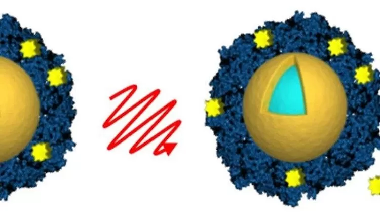 مدار الساعة,أخبار خفيفة ومنوعة