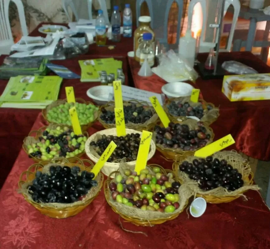 مدار الساعة,مقالات,القوات المسلحة