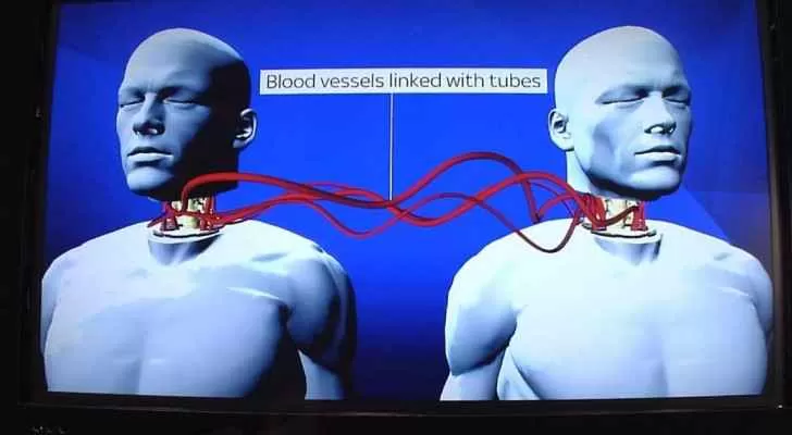 مدار الساعة,أخبار خفيفة ومنوعة