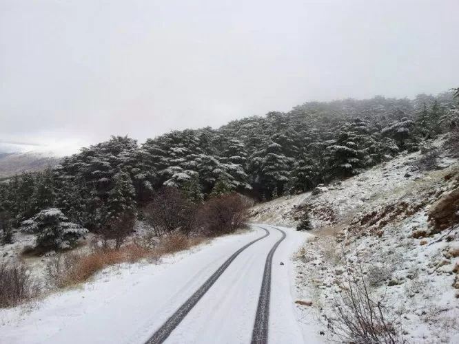 مدار الساعة,أخبار خفيفة ومنوعة,درجات الحرارة