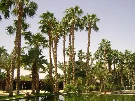 مدار الساعة,أخبار خفيفة ومنوعة,مواقع التواصل الاجتماعي