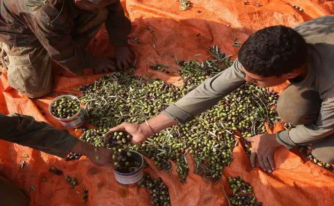 مدار الساعة,أخبار اقتصادية,وزارة الزراعة,درجات الحرارة