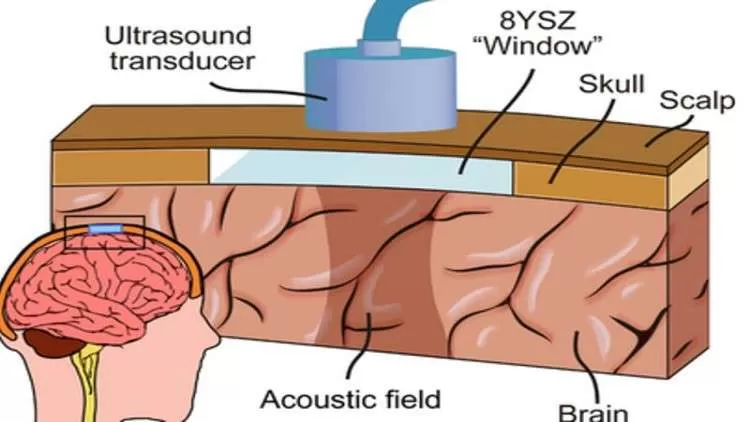 مدار الساعة,أخبار خفيفة ومنوعة