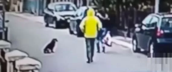 مدار الساعة,Video,فيديو,أخبار خفيفة ومنوعة,مواقع التواصل الاجتماعي