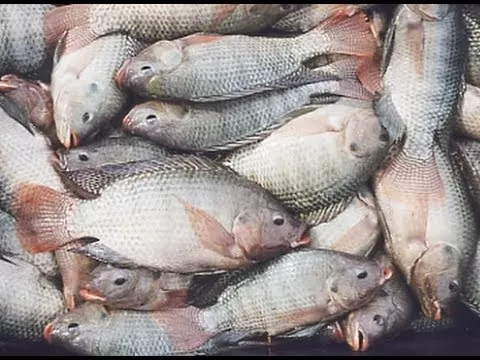 مدار الساعة,أخبار الأردن,اخبار الاردن