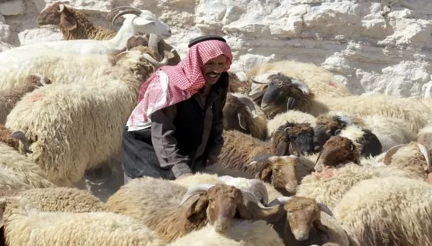 مدار الساعة,أخبار الأردن,اخبار الاردن,وزارة الصناعة والتجارة,وزارة الزراعة,وزارة الصناعة