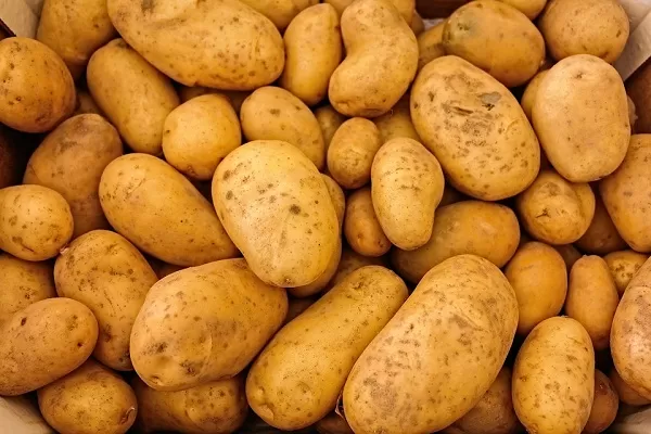 مدار الساعة,أخبار الأردن,اخبار الاردن,وزارة الزراعة