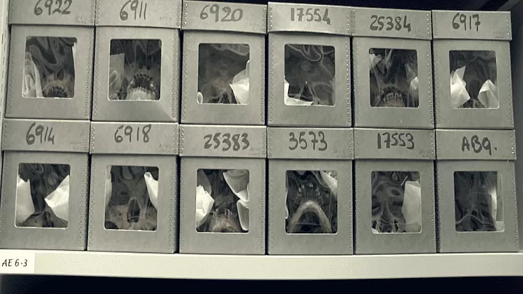 مدار الساعة,أخبار خفيفة ومنوعة