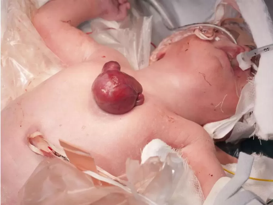 مدار الساعة,أخبار خفيفة ومنوعة