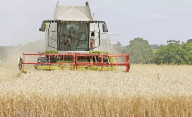 مدار الساعة,أخبار اقتصادية