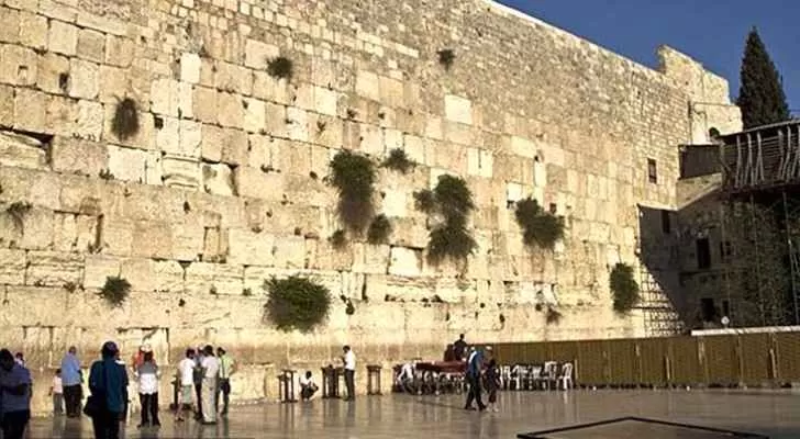 مدار الساعة,أخبار عربية ودولية,وزارة الصحة,قطاع غزة,الضفة الغربية