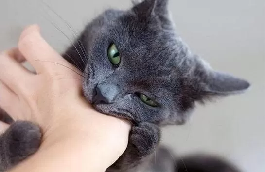 مدار الساعة,أخبار خفيفة ومنوعة