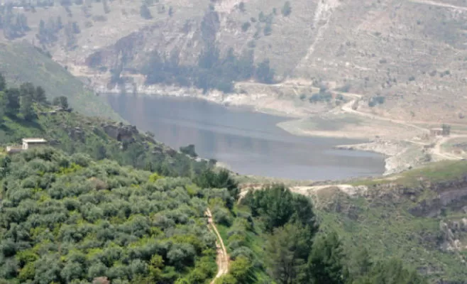 مدار الساعة,أخبار الأردن,اخبار الاردن,وزير الزراعة,الحالة الجوية,درجات الحرارة