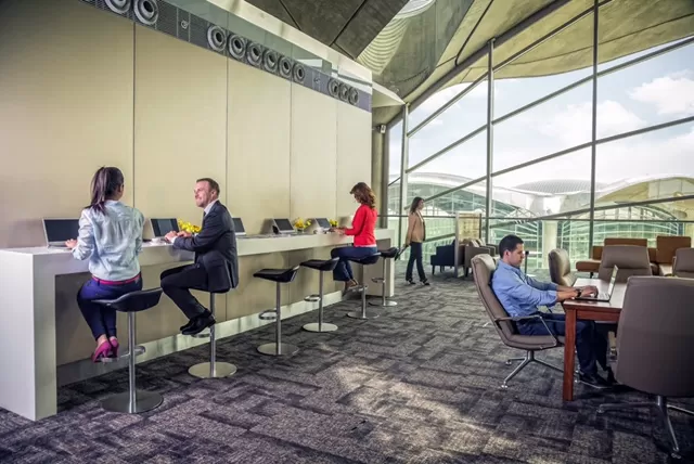 مدار الساعة,أخبار اقتصادية,شركة الخطوط الجوية الملكية الأردنية,الملكية الأردنية