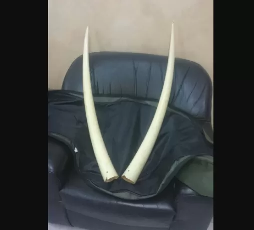 مدار الساعة,أخبار الأردن,اخبار الاردن