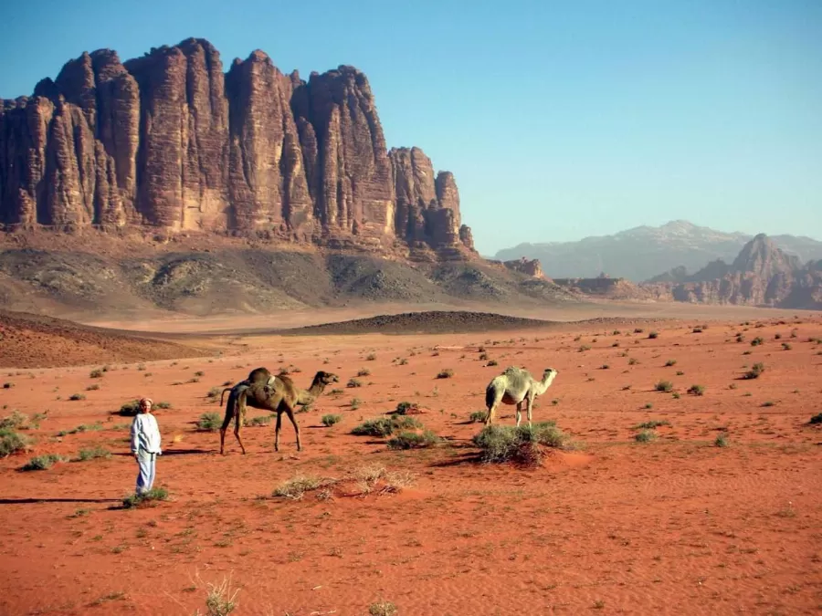 مدار الساعة,أخبار الأردن,اخبار الاردن