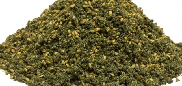 مدار الساعة,أخبار الأسرة