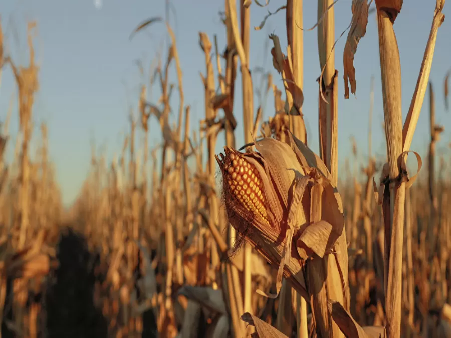مدار الساعة,أخبار خفيفة ومنوعة