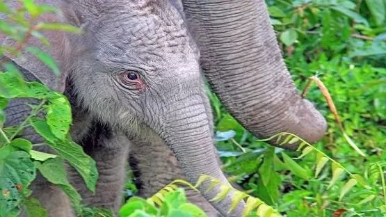 مدار الساعة,أخبار خفيفة ومنوعة