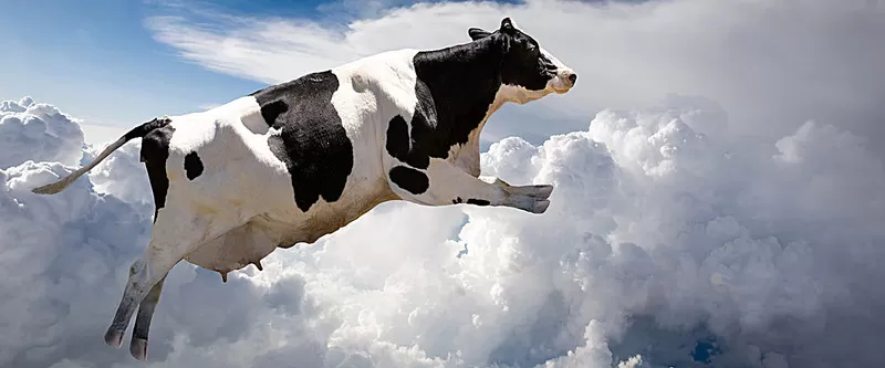 مدار الساعة,Video,فيديو,أخبار خفيفة ومنوعة,مواقع التواصل الاجتماعي