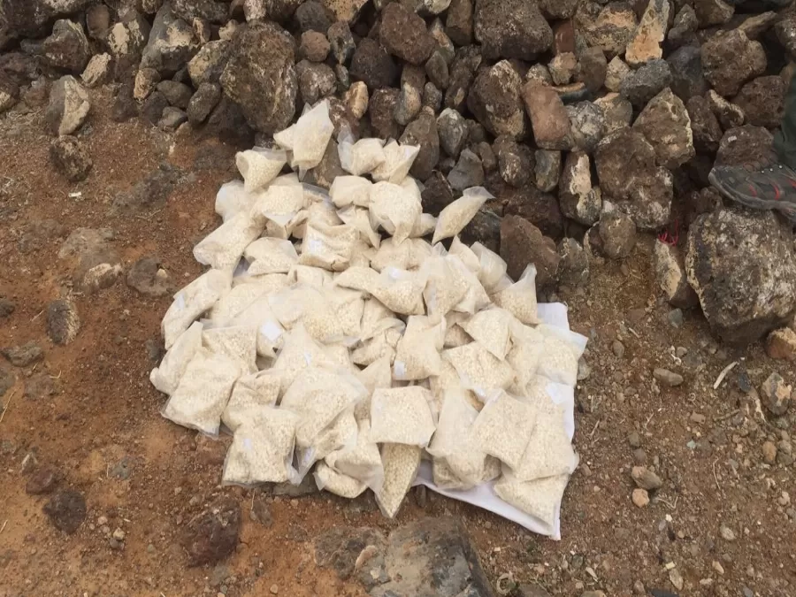 مدار الساعة,أخبار الأردن,اخبار الاردن