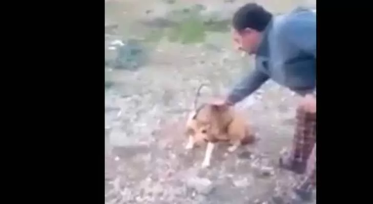 مدار الساعة,Video,فيديو,أخبار الأردن,اخبار الاردن,مواقع التواصل الاجتماعي