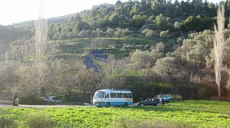 مدار الساعة, أخبار السياحة في الأردن,كفرنجة,الأردن