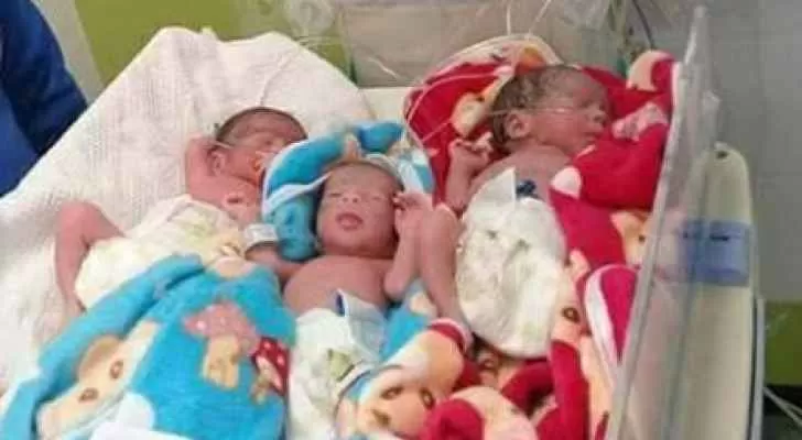 مدار الساعة,أخبار خفيفة ومنوعة,قطاع غزة,مواقع التواصل الاجتماعي