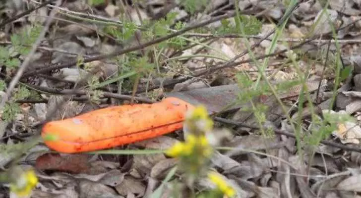 مدار الساعة,أخبار عربية ودولية,الضفة الغربية