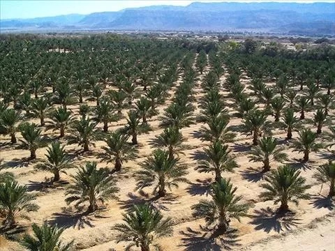 مدار الساعة,أخبار اقتصادية,الاتحاد الأوروبي,الإمارات العربية المتحدة