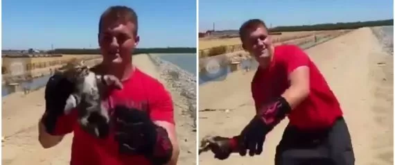 مدار الساعة,Video,فيديو,أخبار خفيفة ومنوعة