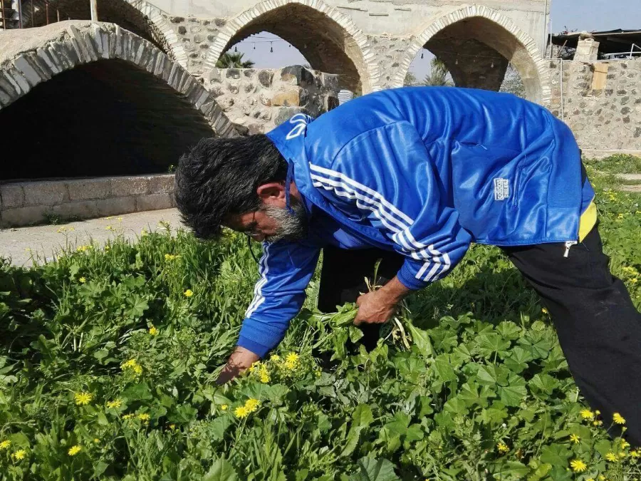 مدار الساعة,أخبار الأردن,اخبار الاردن