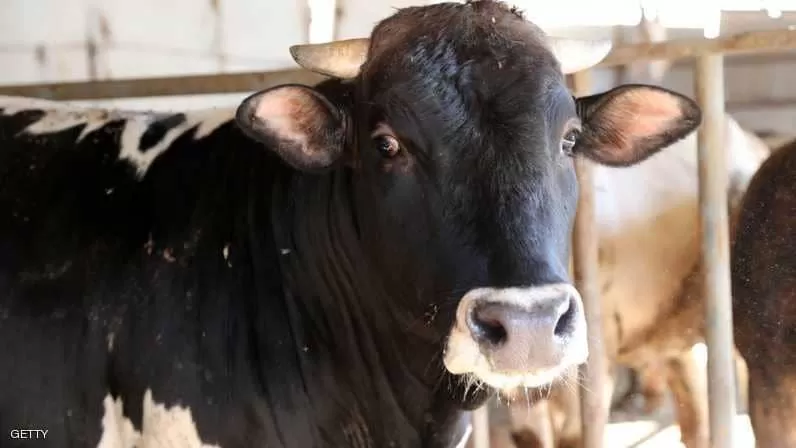 مدار الساعة,أخبار خفيفة ومنوعة