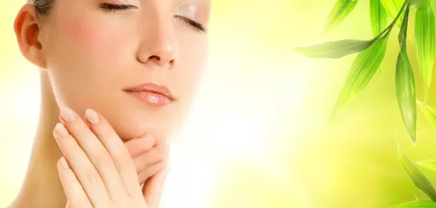 مدار الساعة,أخبار الأسرة,درجات الحرارة