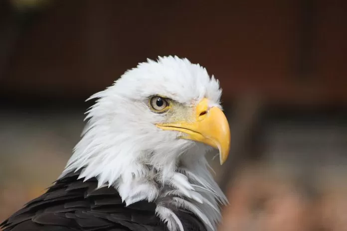 مدار الساعة,Video,فيديو,أخبار خفيفة ومنوعة