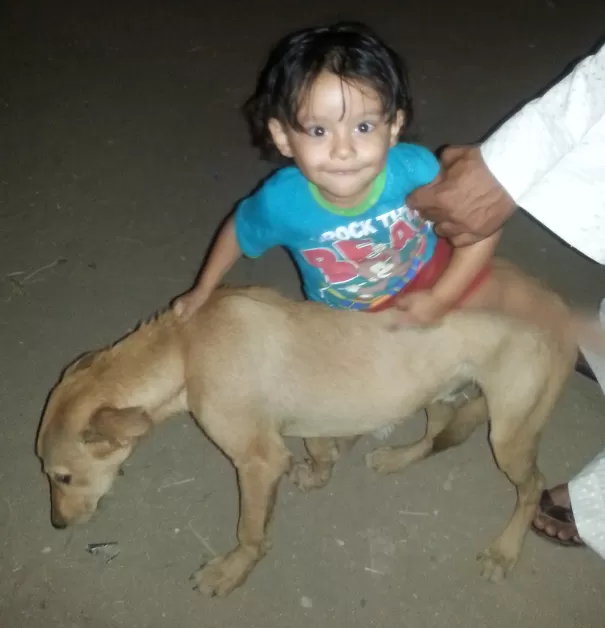 مدار الساعة,أخبار خفيفة ومنوعة