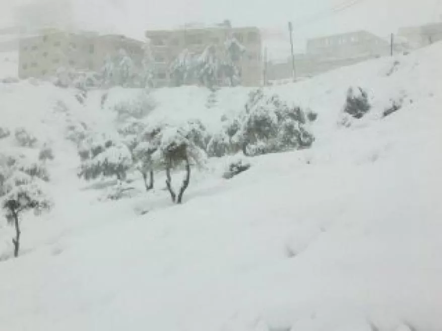 مدار الساعة,أخبار خفيفة ومنوعة