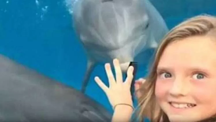 مدار الساعة,Video,فيديو,أخبار خفيفة ومنوعة