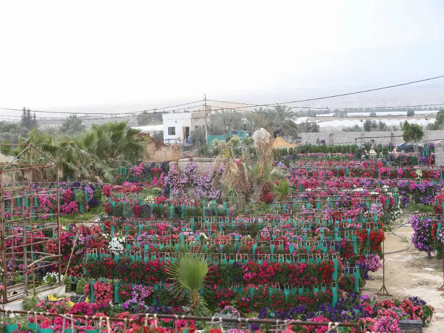 مدار الساعة,أسرار أردنية,يوم الكرامة