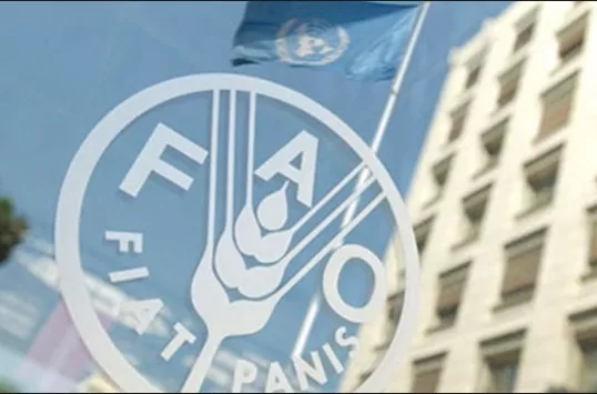 مدار الساعة,أخبار عربية ودولية