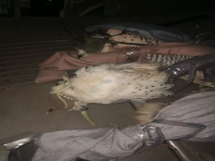 مدار الساعة,أخبار الأردن,اخبار الاردن,الجمارك الأردنية,مديرية الأمن العام,الأمن العام,الإدارة الملكية لحماية البيئة