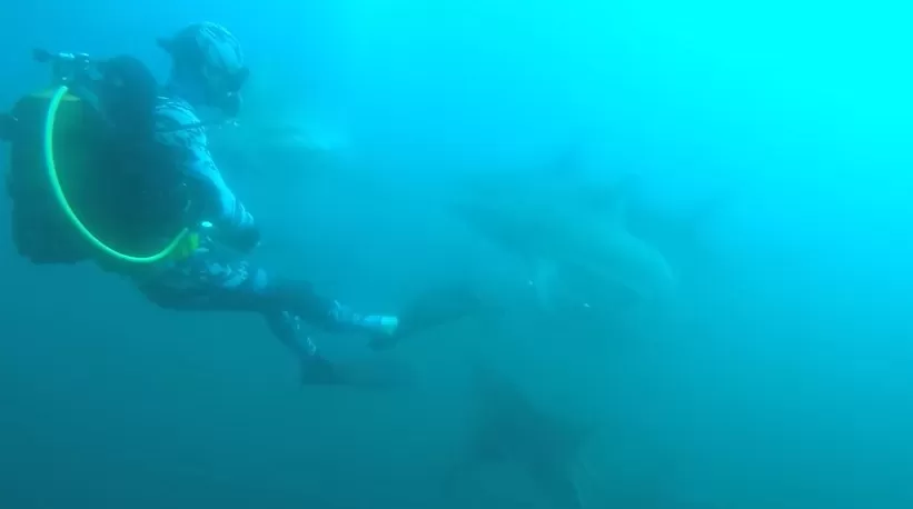 مدار الساعة,Video,فيديو,أخبار خفيفة ومنوعة