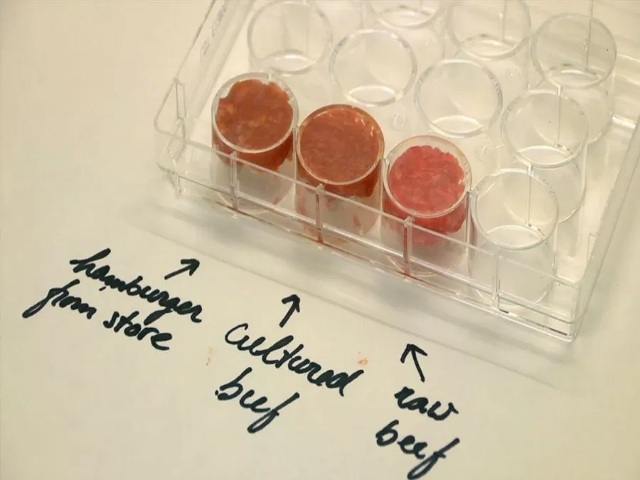 مدار الساعة,أخبار خفيفة ومنوعة