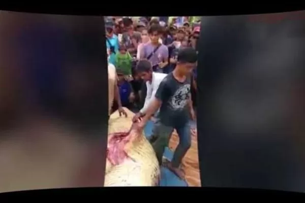 مدار الساعة,Video,فيديو,أخبار خفيفة ومنوعة,مواقع التواصل الاجتماعي