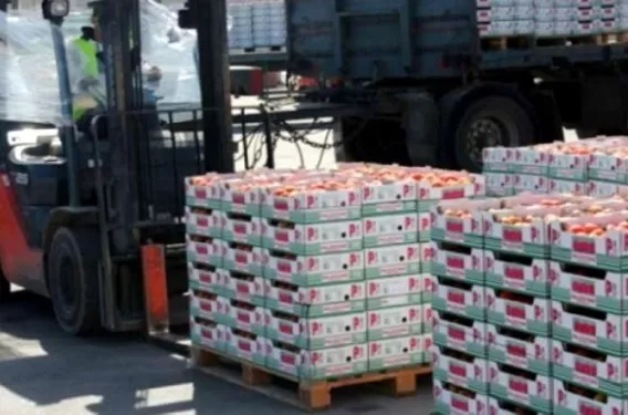 مدار الساعة,أخبار اقتصادية,وزير الزراعة