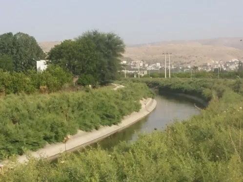 مدار الساعة,أخبار الأردن,اخبار الاردن,وزير المياه والري,سلطة وادي الأردن,وادي الأردن
