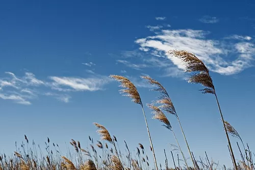 مدار الساعة,أخبار الأردن,اخبار الاردن,درجات الحرارة,البحر الميت