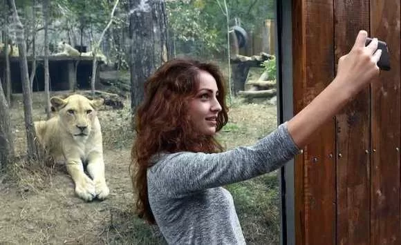 مدار الساعة,أخبار خفيفة ومنوعة,وسائل التواصل الاجتماعي