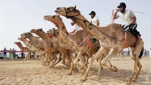 مدار الساعة,أخبار رياضية